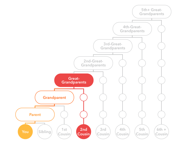 What_Can_I_Do__-_DNAR_Relationship_Tree.png