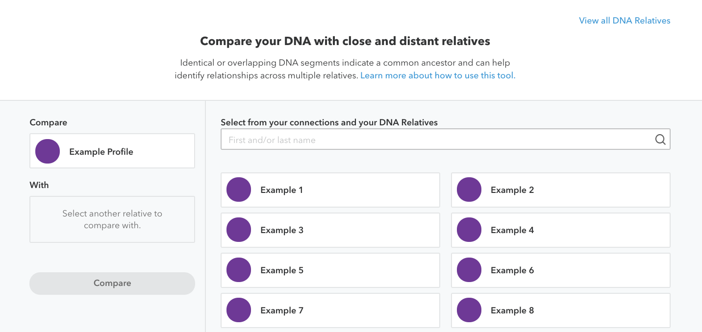A sample DNA Comparison page
