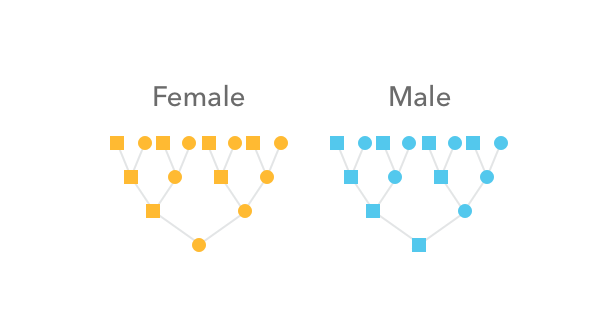 115013861568-1.png