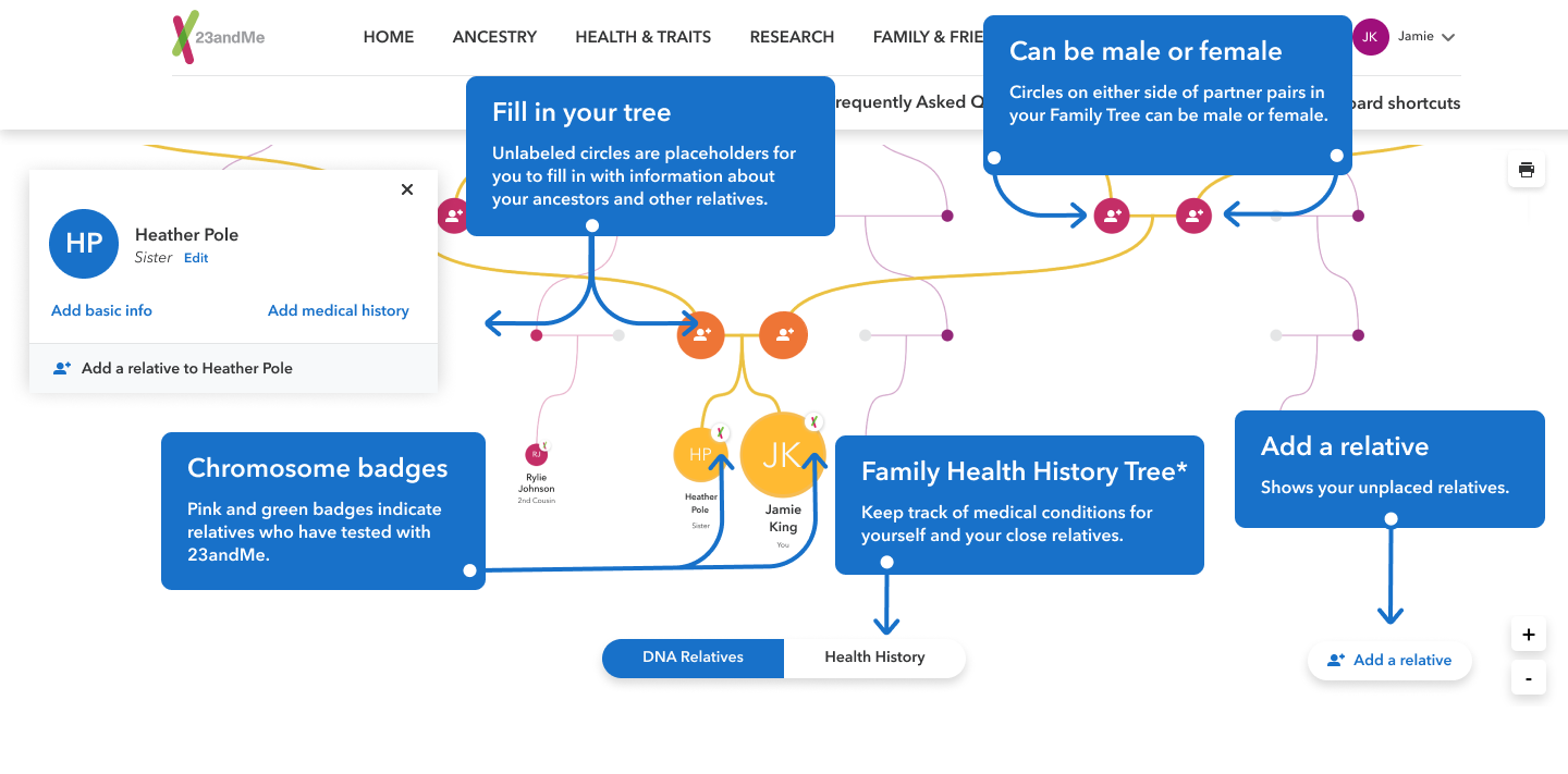 Graphic introducing different features of the Family Tree